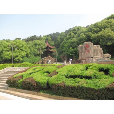 pg电子网页版入