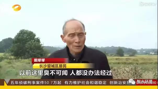pg电子网页版入