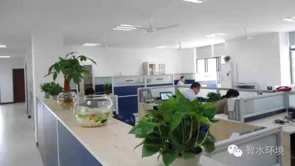 pg电子网页版入