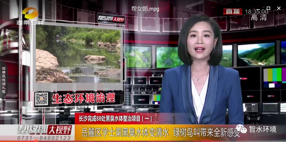 pg电子网页版入