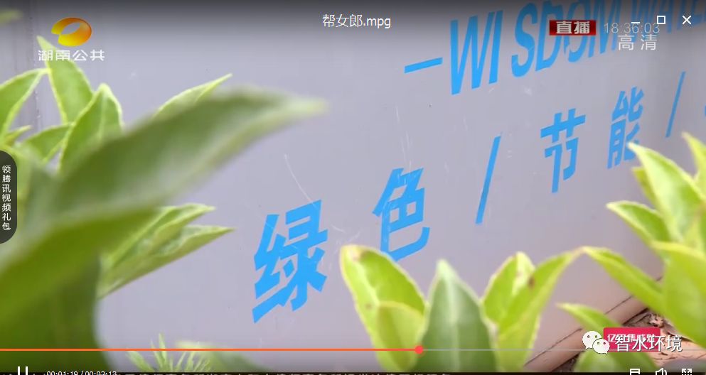 pg电子网页版入