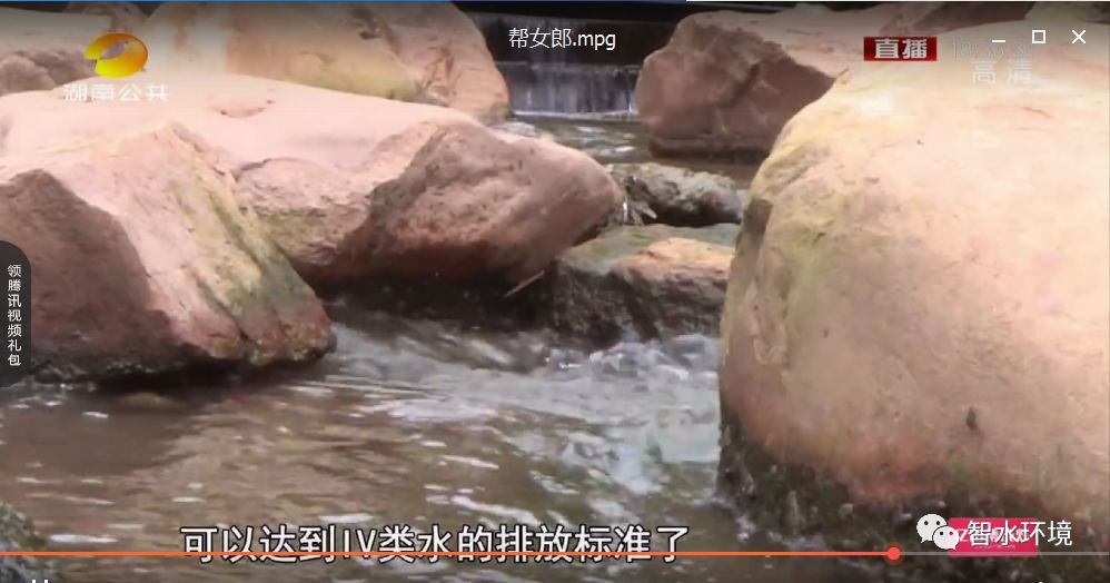 pg电子网页版入
