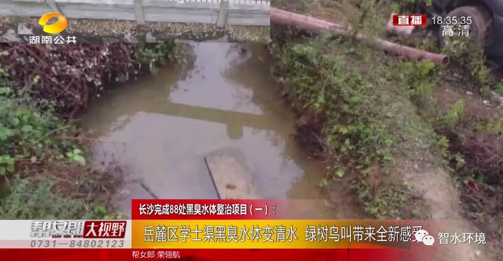 pg电子网页版入