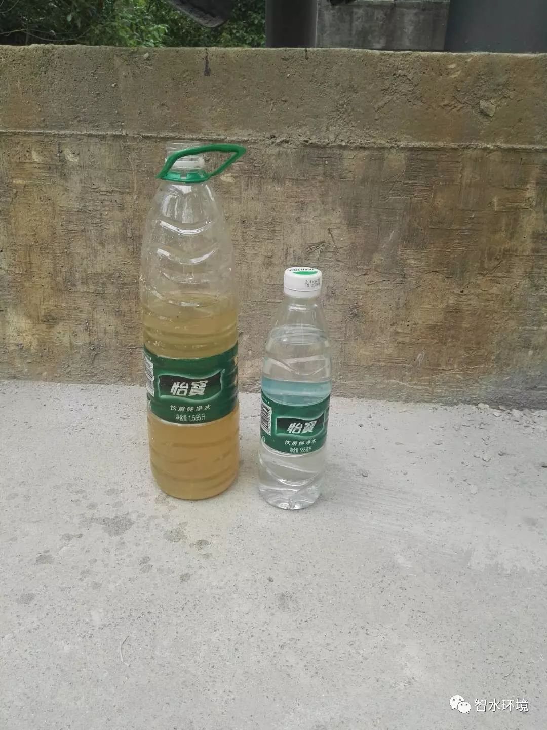 pg电子网页版入