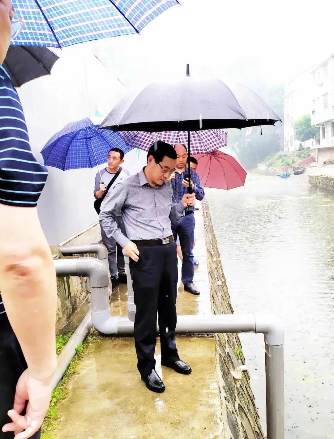 pg电子网页版入