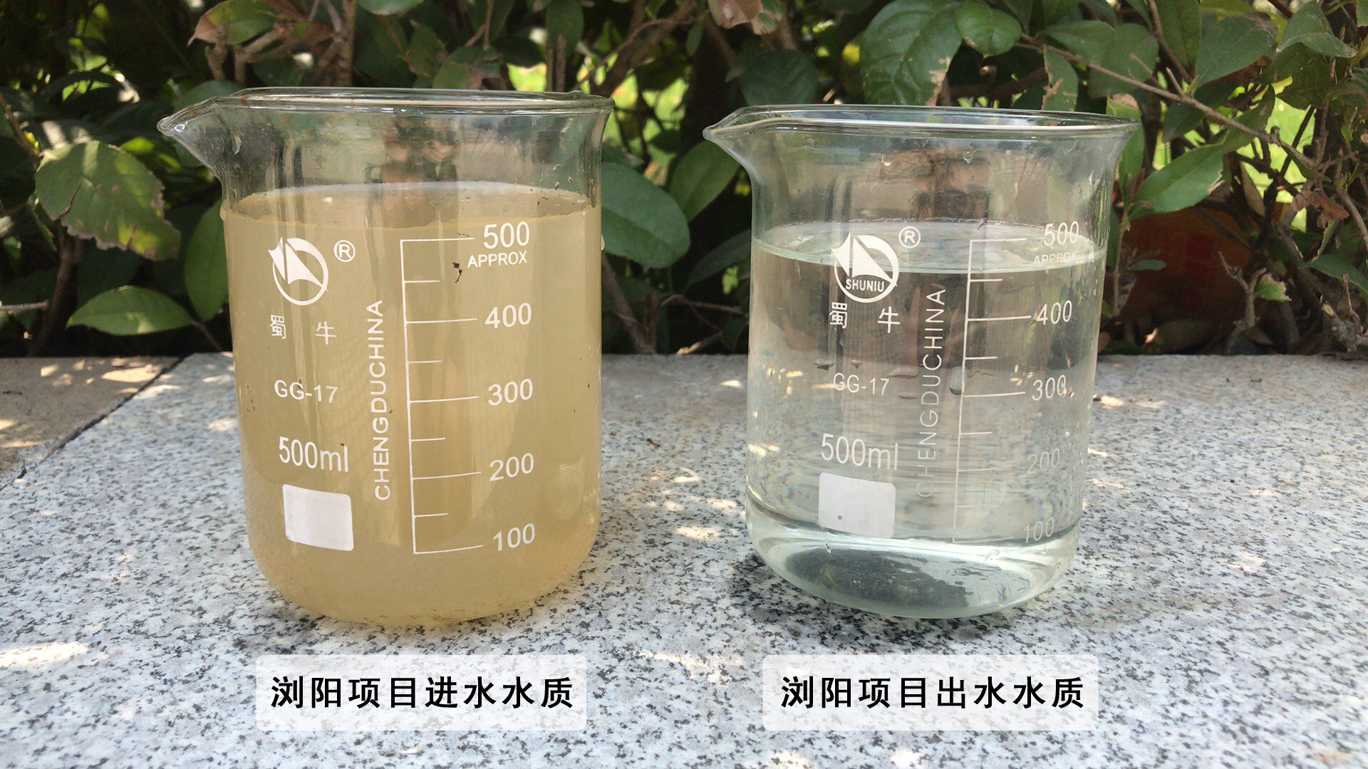pg电子网页版入