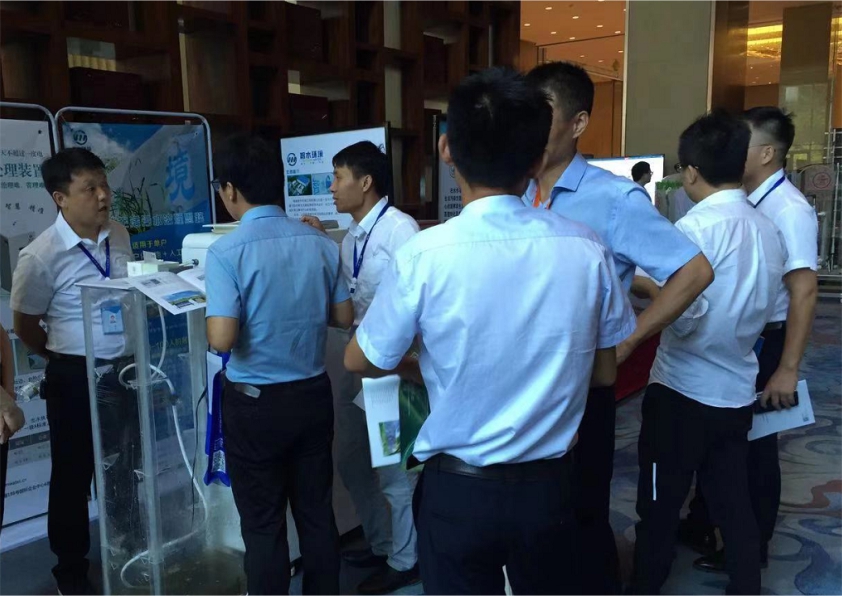 pg电子网页版入