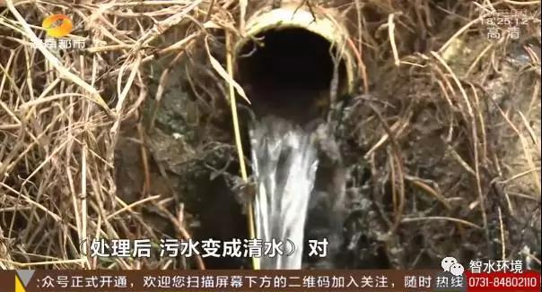 pg电子网页版入