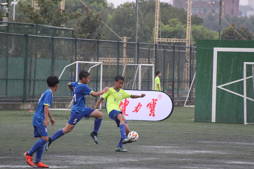 pg电子网页版入