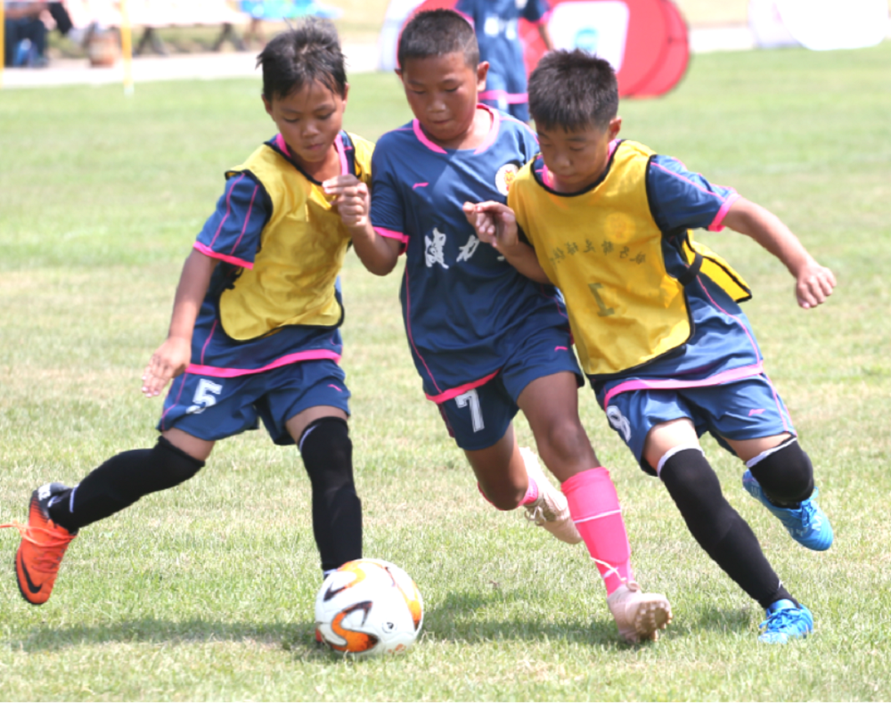 pg电子网页版入