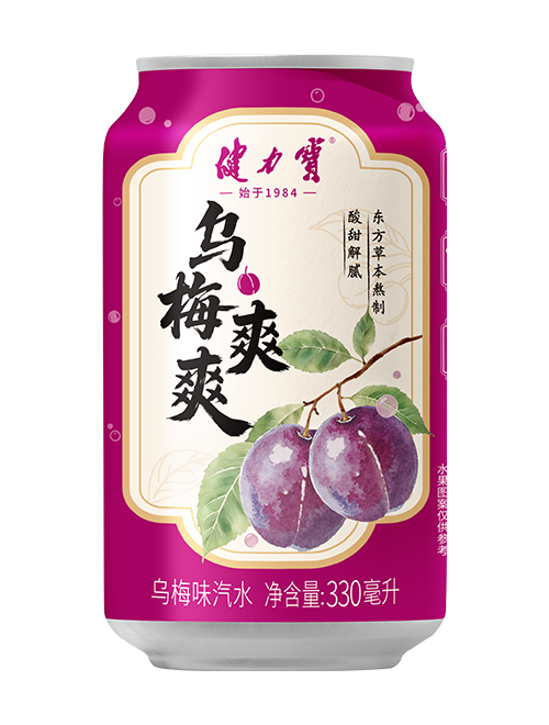 pg电子网页版入乌梅爽爽乌梅味汽水