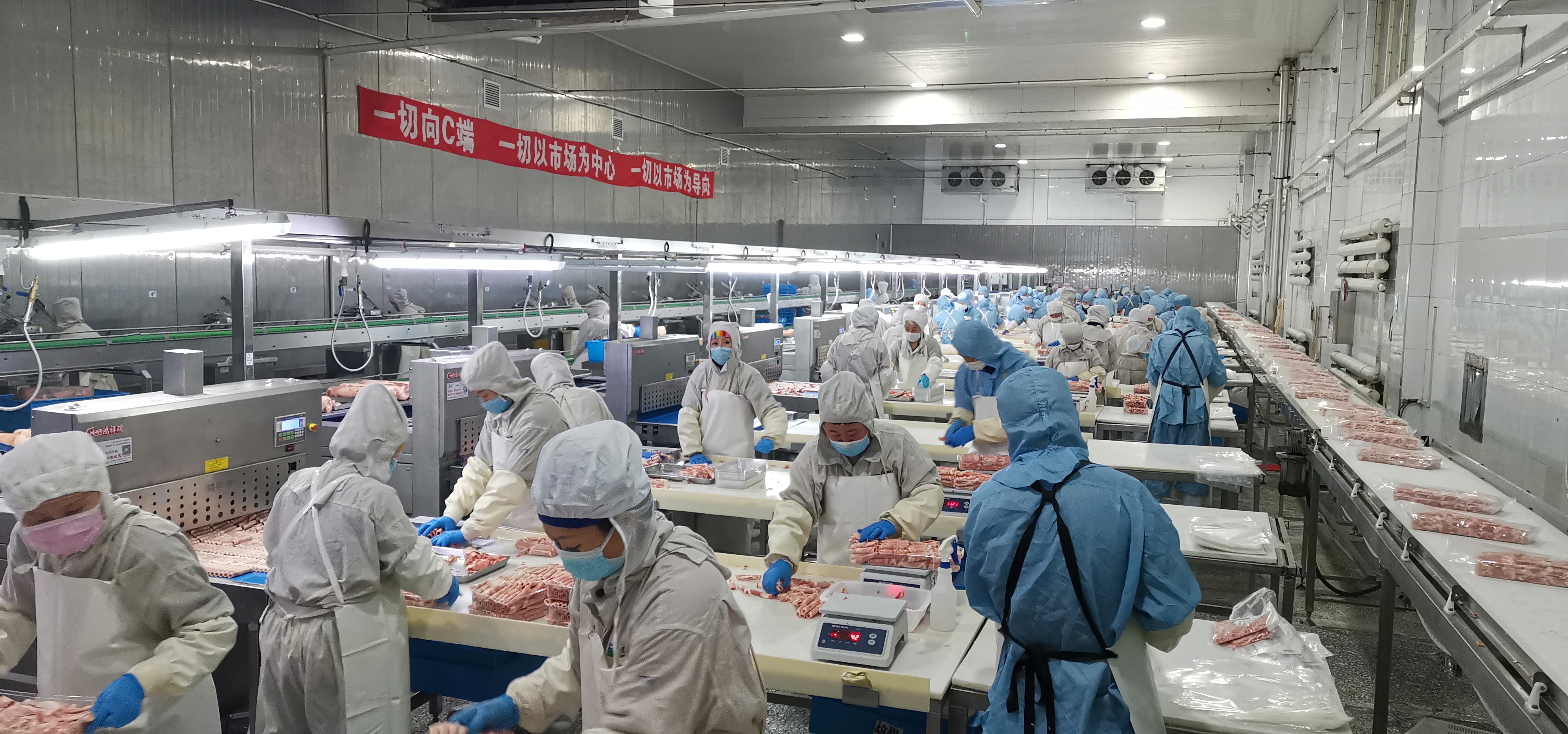 pg电子网页版入